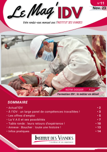 Miniature MAG'IDV novembre 23